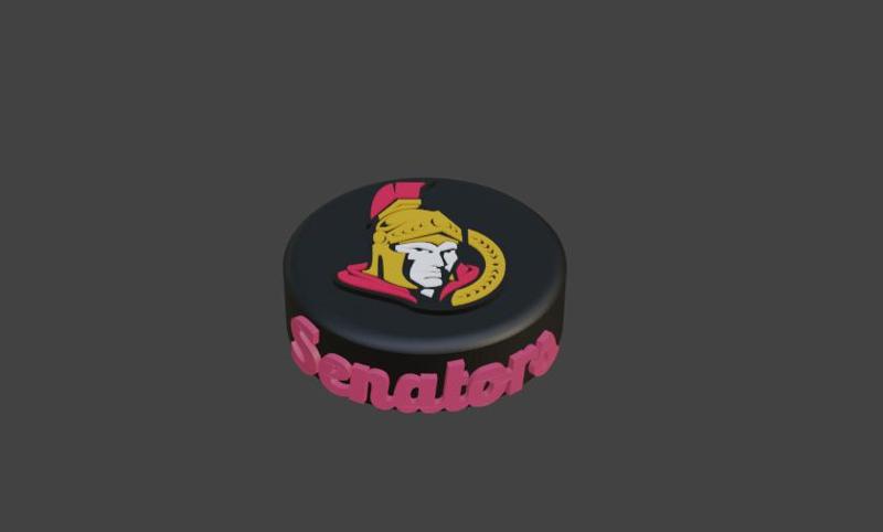 Ottawa Senators Hockey Puck