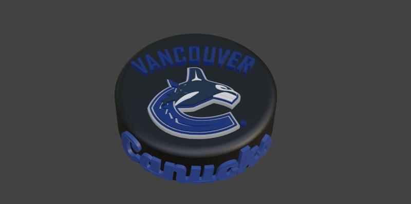 Vancouver Canucks Hockey Puck