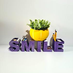 desktop organizer/planter