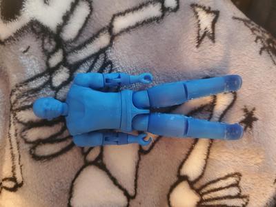 Hunter the Hairless Henchman