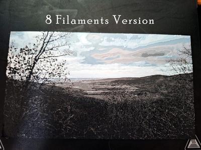 Eagle View 3D Painting HueForge