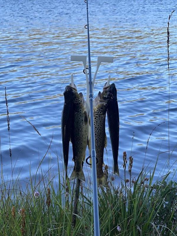 Fishing Rod Holder and Fish Carrier