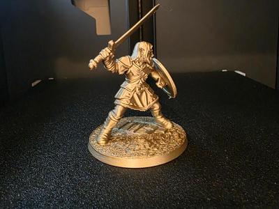 Elven Warrior with Sword and Shield