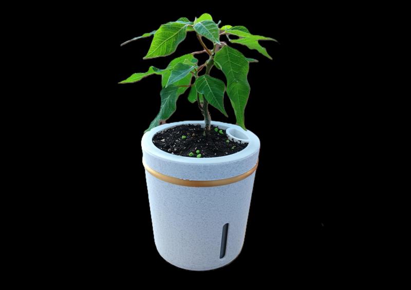 self watering plant pot