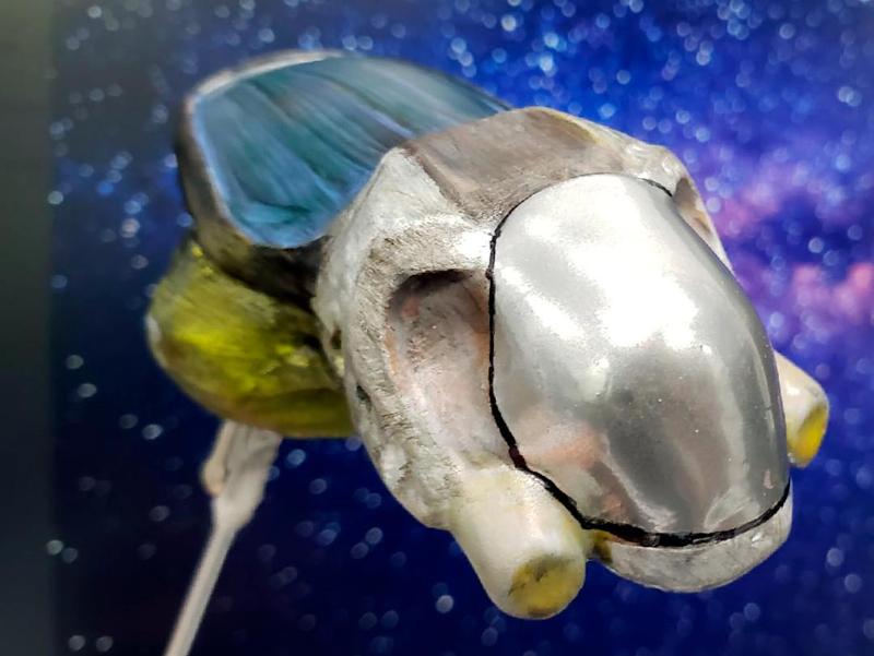 Personal Space Vehicle