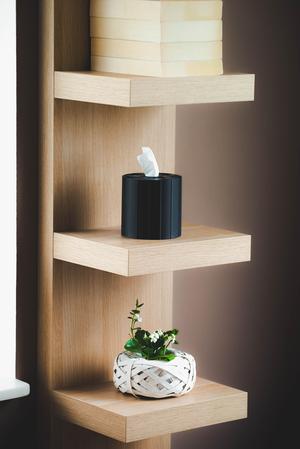 Case to make tissues from toilet paper