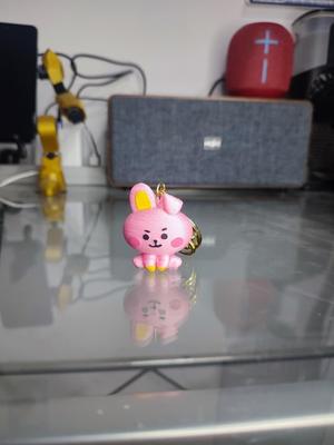cooky keychain