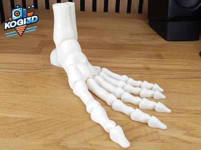 Print in Place Fully Articulated Skeleton Foot