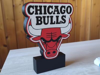 Chicago Bulls NBA Lightbox