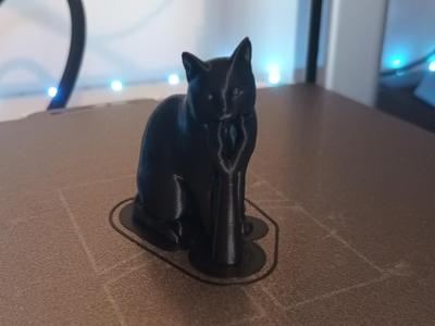 A Cute Black Cat Sitting