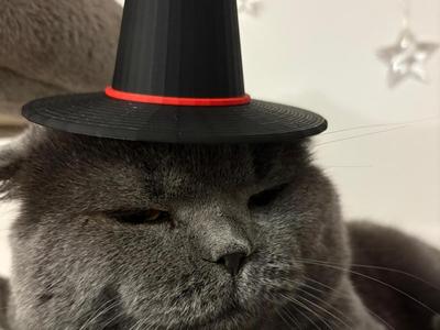 Derpy Tiger’s Hat – K-Pop Demon Hunters 