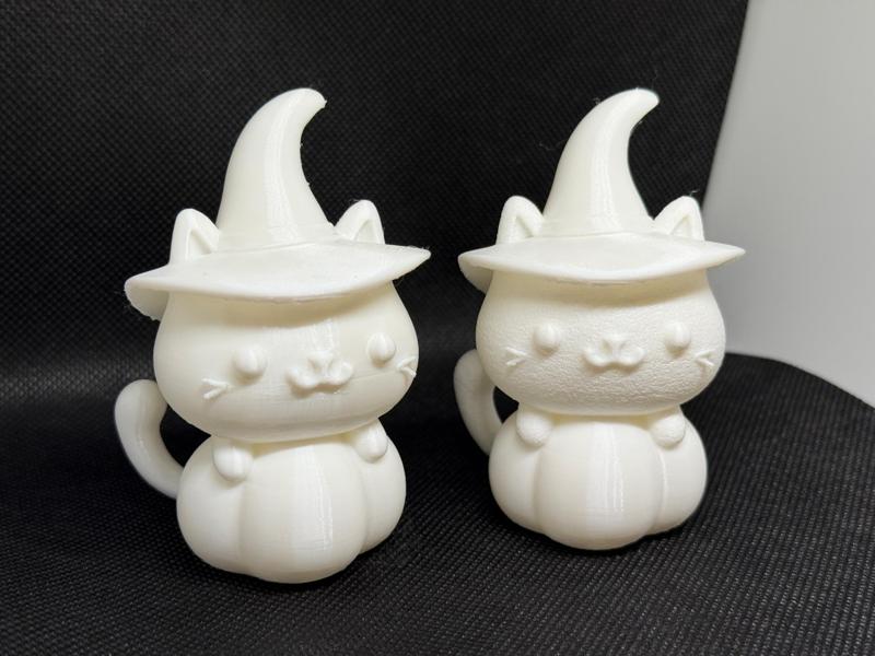 Halloween Witch Cat - both Smooth&Fluffy texture 