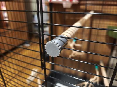 Wooden Bird Pole lock