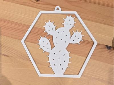 hanging prickly pear
