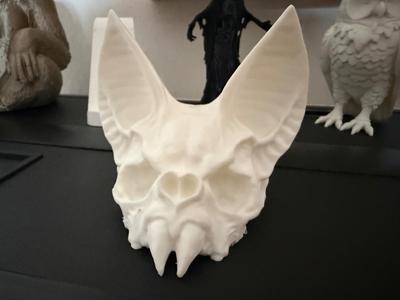 Bat Skull