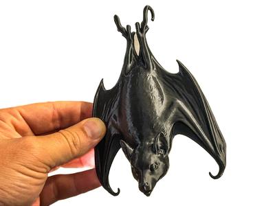 Hanging Bat