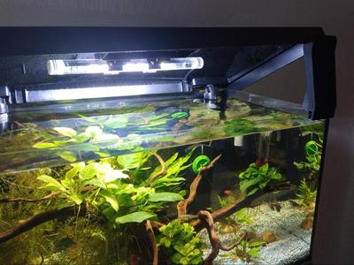 Aquarium Lid Lifter