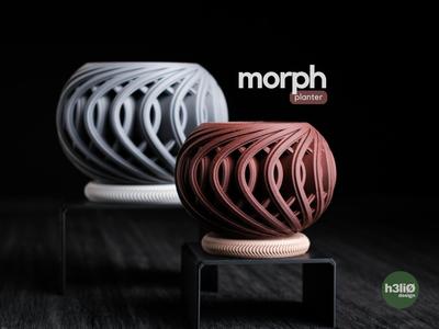 morph • planter