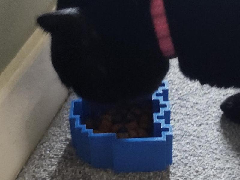 Ghost shaped pet food/drink bowl