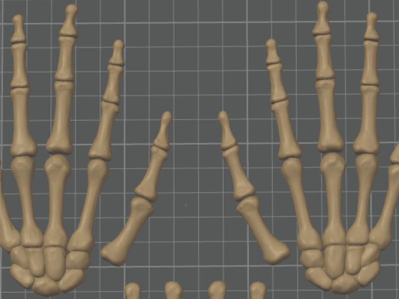 Bone Hands