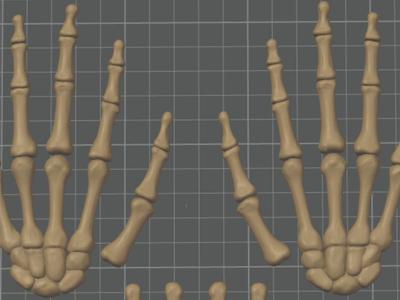 Bone Hands