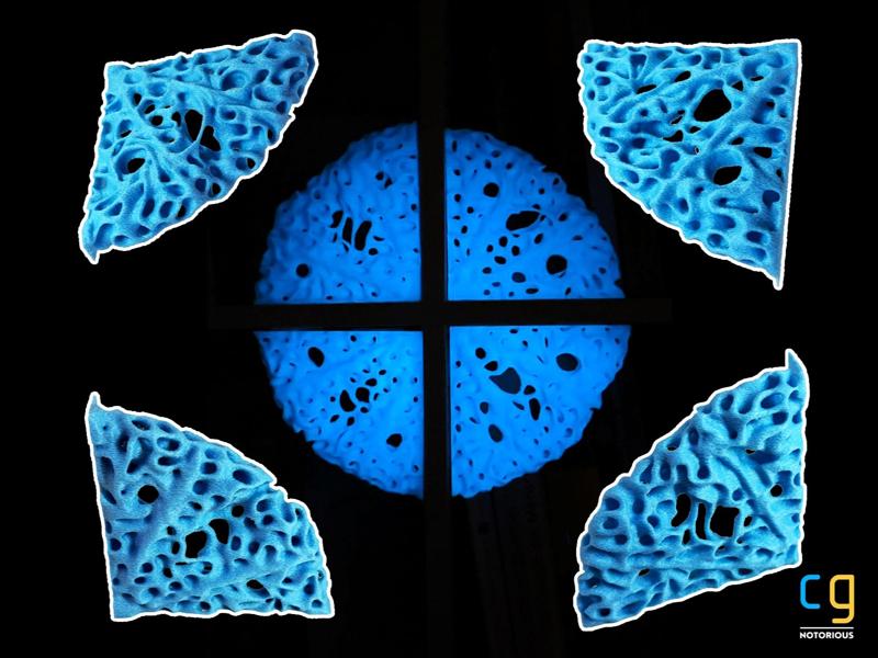 Organic Cathedral Rose Window