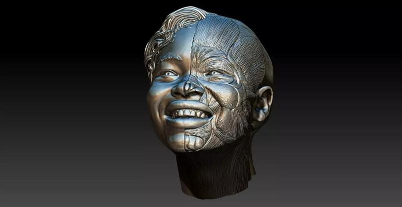 Smile anatomy - Anatomia de la sonrisa