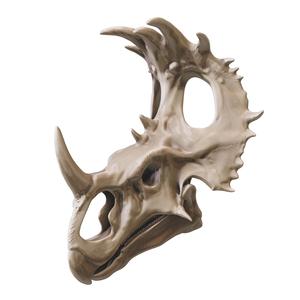 Sinoceratops zhuchengensis skull