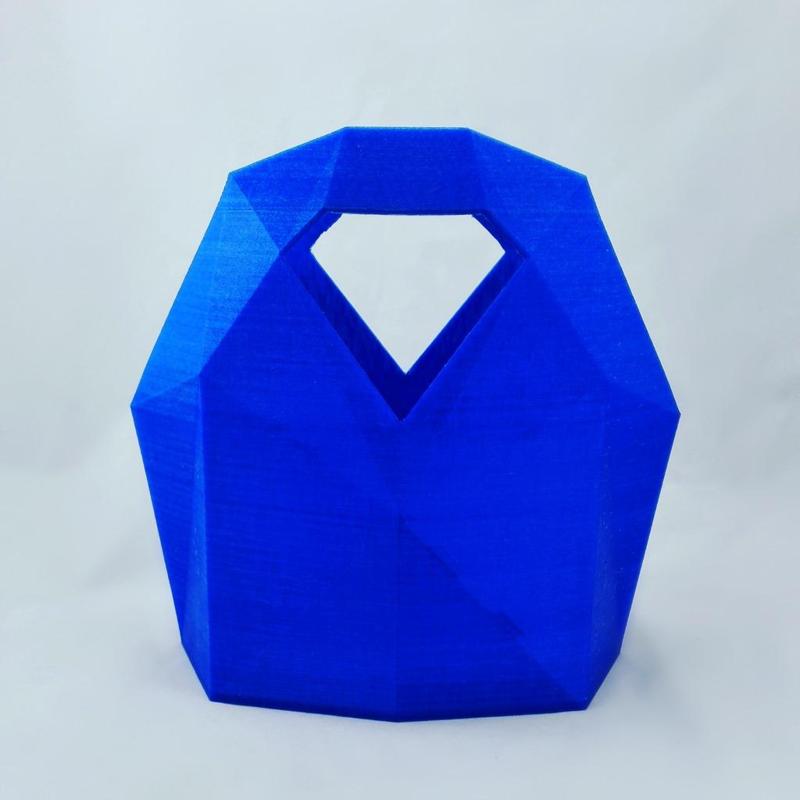 The Futuristic FilaFlex Bag