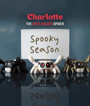 Charlotte the Jumping Spider