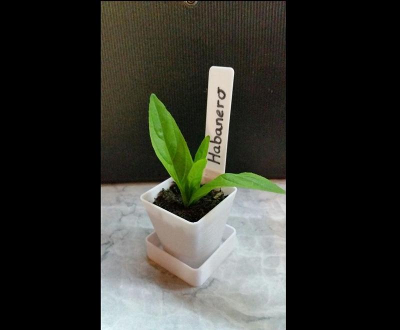 Rectangular Nursery pot