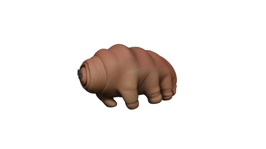 Figure Tardigrade