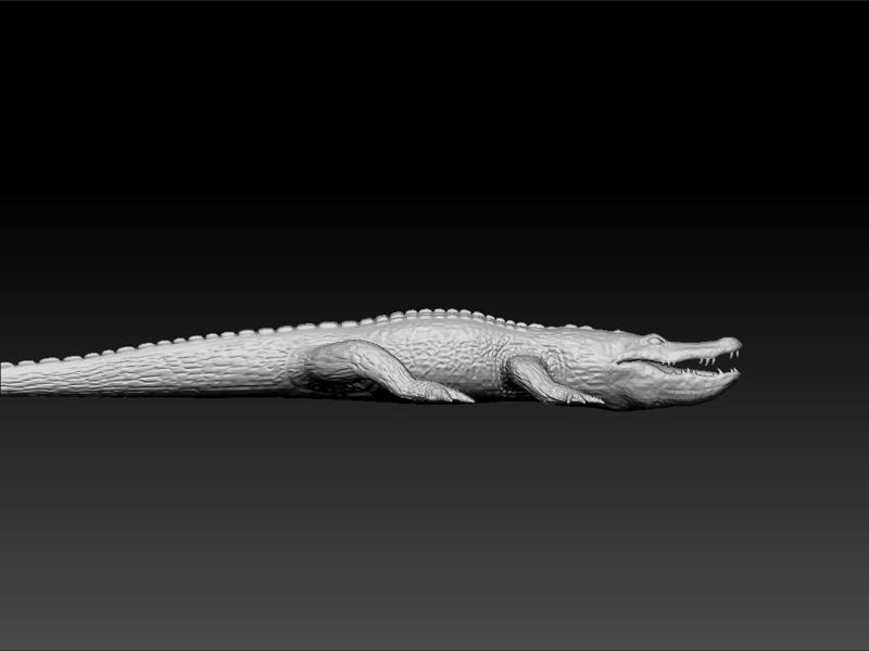 Crocodile - Crocodile for game - unity 3d - ue5- Crocodile toy