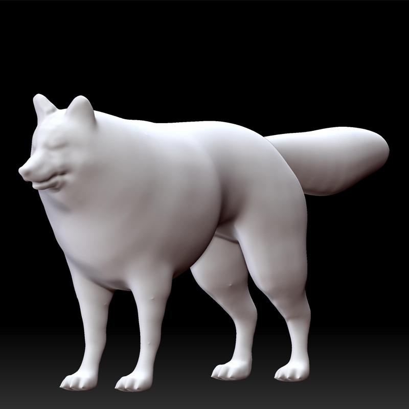 Gray wolf - grey wolf