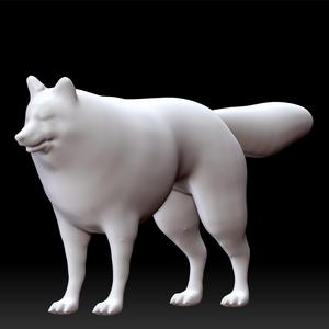 Gray wolf - grey wolf