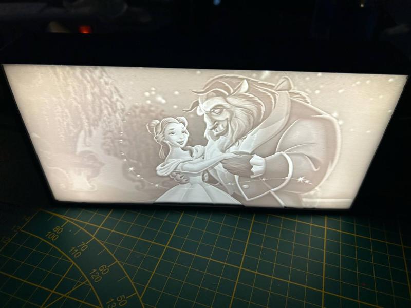 LED-Lit Display Box: Beauty and the Beast