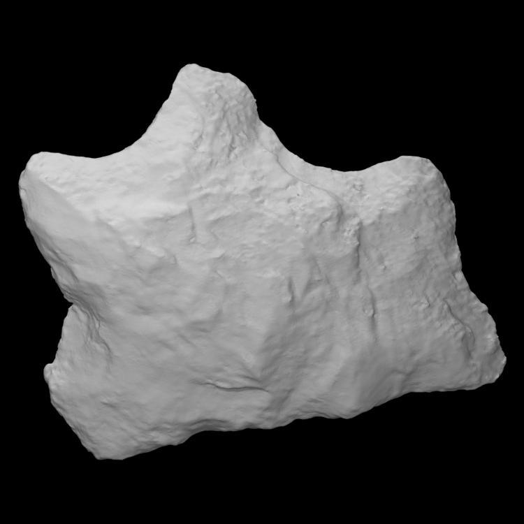 Stanly Stemmed Point