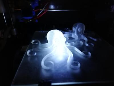 Octopus Lamp