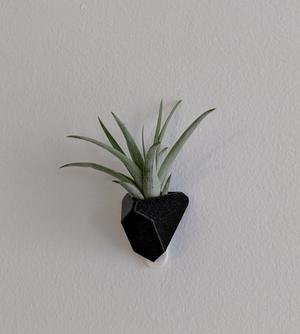 Angular succulent/air plant wall planter