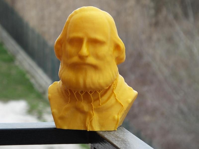 Garibaldi Bust