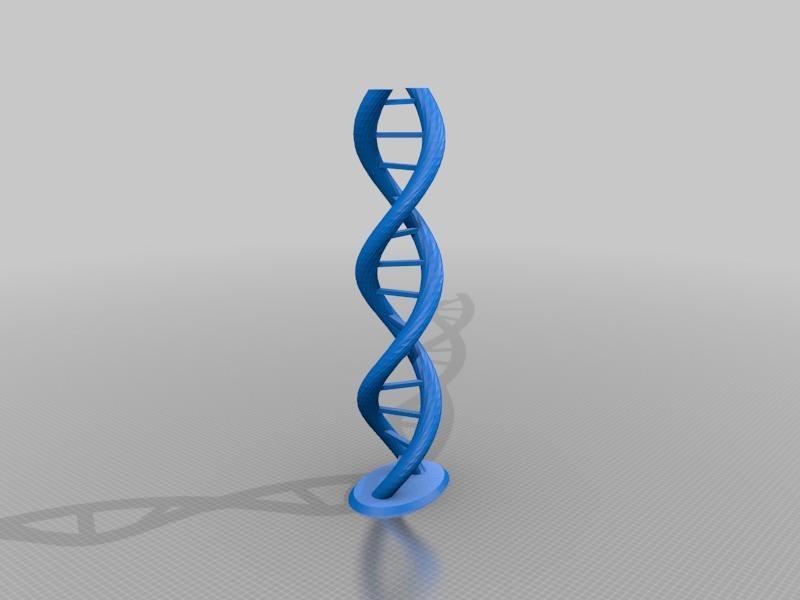 DNA Molecule