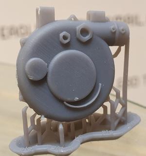 pig