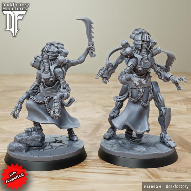 The Cyber Liches | dark evil cyborg space pain elf of elves