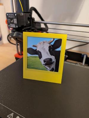 Polaroid-style image frame   