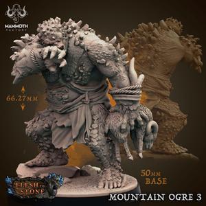Mountain Ogre 3