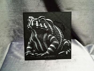 Zebra Toad