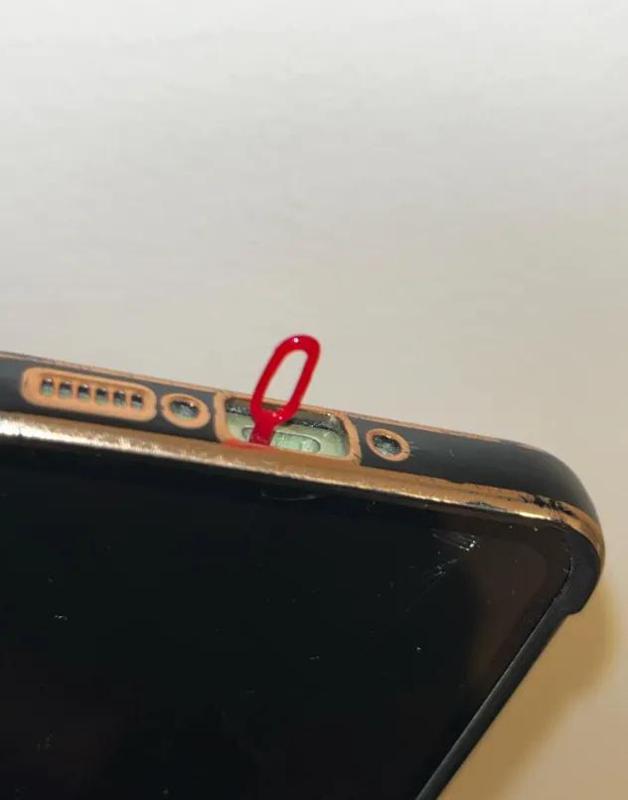 Phone cleaning the nest   