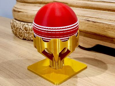 Cricket Ball Container