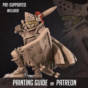 Sir Oswan, the Halfling Paladin