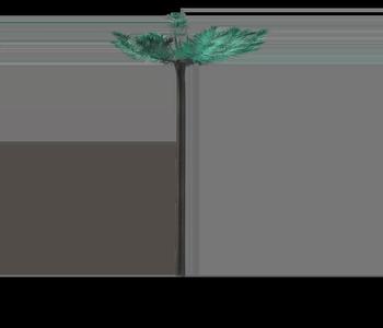 Duskwood Tree
